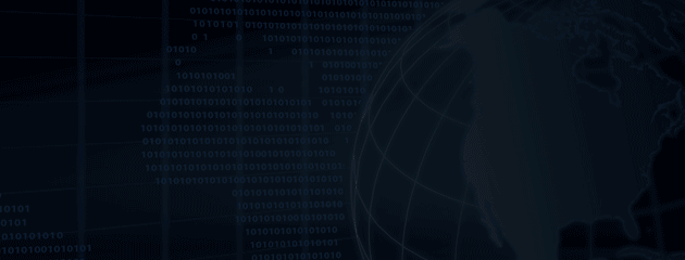 Welcome to Domestic Surveillance Directorate